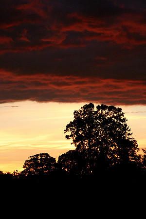 SS081-0028.jpg
