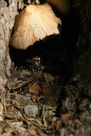 SS081-0055.jpg