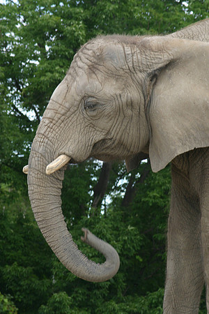 SS073-0015.jpg