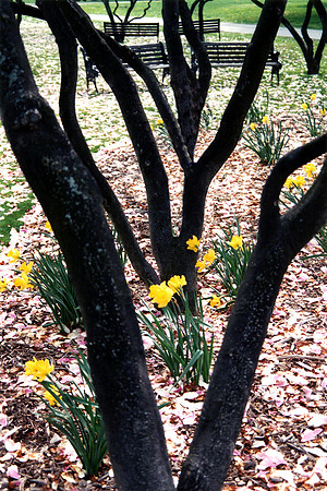 SS081-0011.jpg