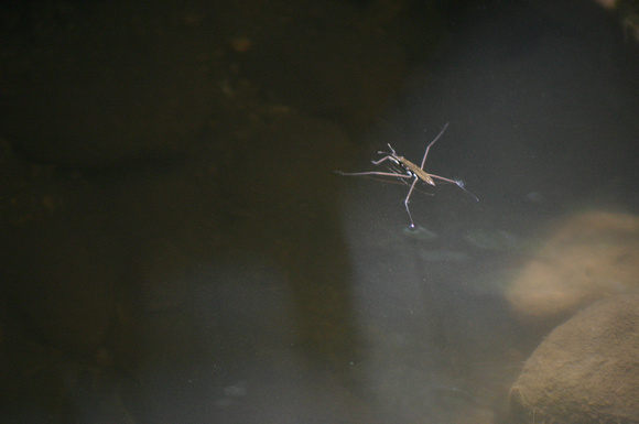 SS064-0009.jpg