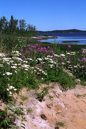 SS052-0029.jpg