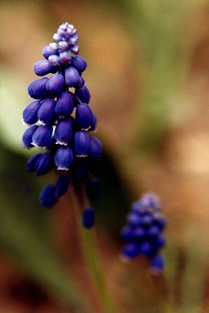 SS08-0041.jpg