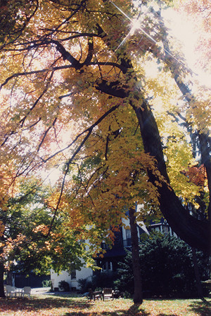 SS081-0001.jpg