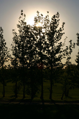 SS081-0049.jpg