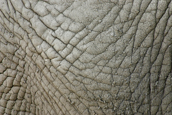SS073-0005.jpg