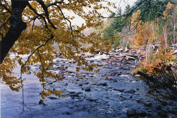 SS081-0026.jpg