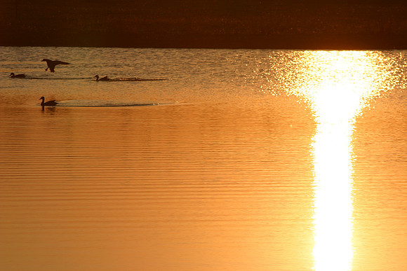 SS052-0054.jpg