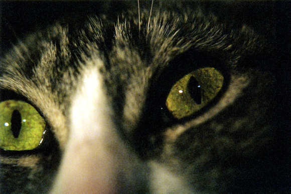 SS075-0028.jpg