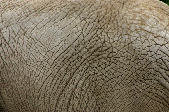 SS073-0019.jpg
