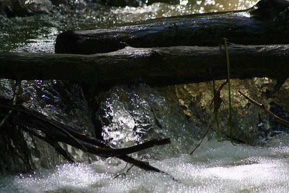 SS052-0041.jpg