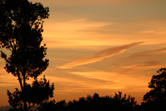 SS081-0032.jpg