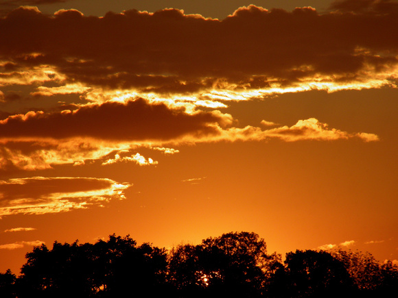 Sunset15