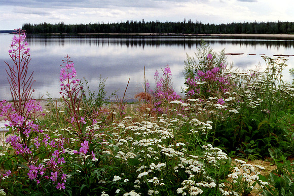SS052-0020.jpg