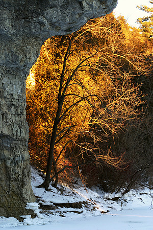 SS081-0107.jpg