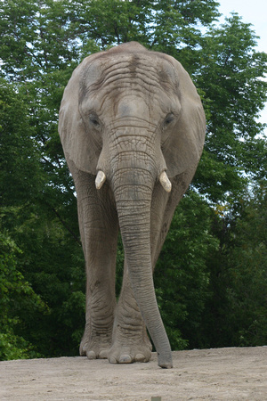 SS073-0010.jpg