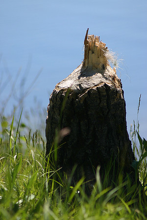 SS081-0045.jpg