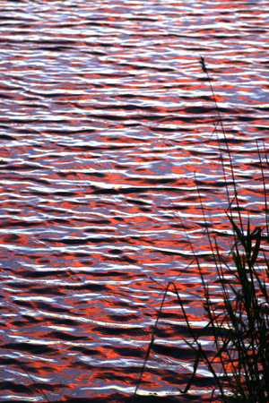 SS052-0046.jpg
