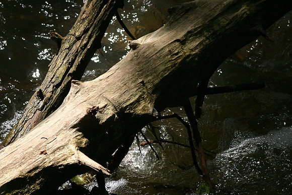SS052-0042.jpg