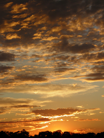 Sunset16