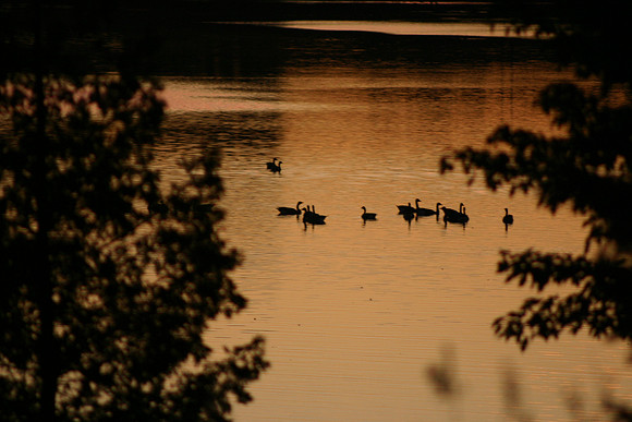 SS052-0068.jpg