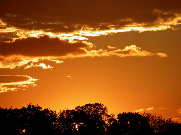 Sunset14