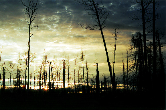 SS081-0009.jpg