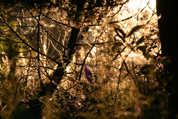 SS081-0064.jpg