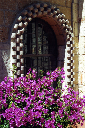SS113-0001.jpg