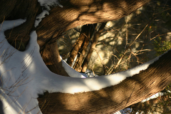 SS081-0109.jpg