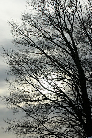 SS081-0103.jpg