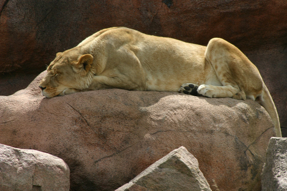 SS073-0028.jpg