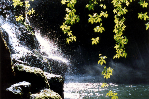 SS052-0019.jpg
