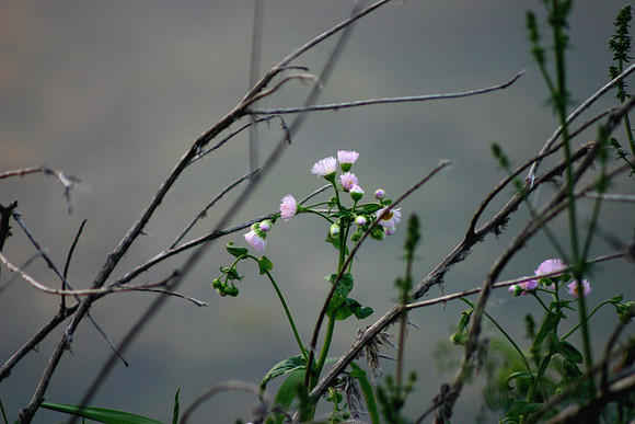 SS08-0025.jpg
