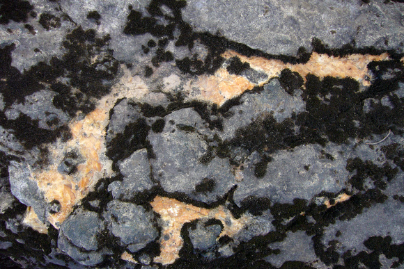 SS05-0037.jpg
