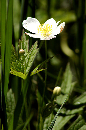 SS08-0030.jpg