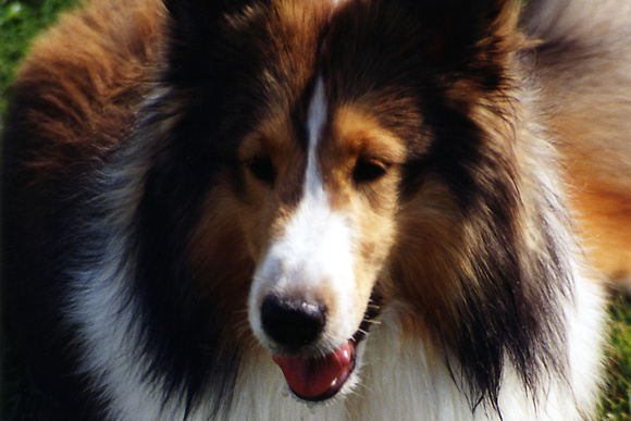 SS07-0013.jpg