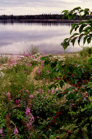 SS052-0021.jpg