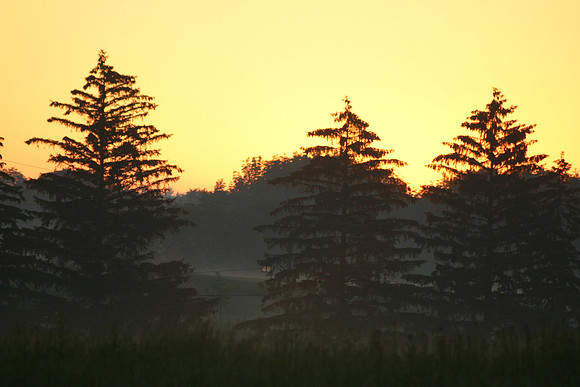SS081-0042.jpg