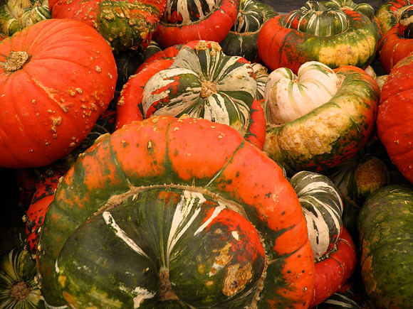 Fall-Autumn 21