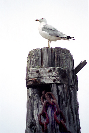 SS071-0134.jpg