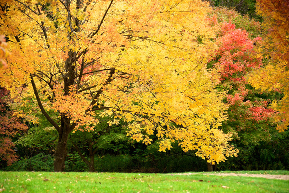 FallHike 14