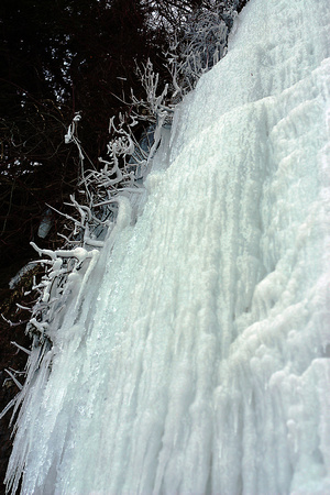 SS05202-0034.jpg