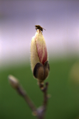 SS064-0017.jpg