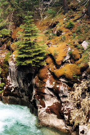 SS05-0010.jpg