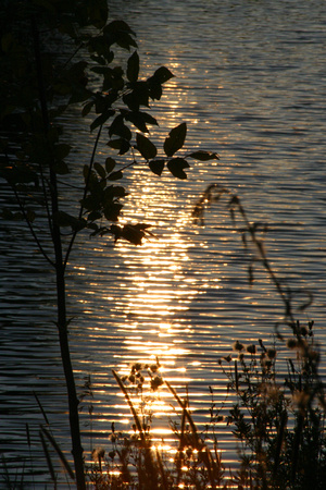 SS052-0050.jpg