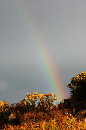 SS05-0023.jpg