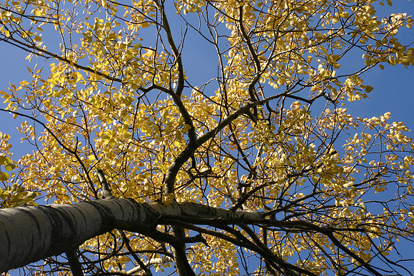 SS081-0124.jpg