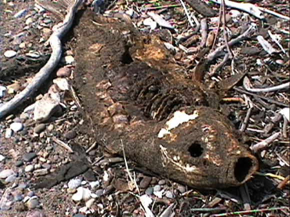 SS074-0035.jpg