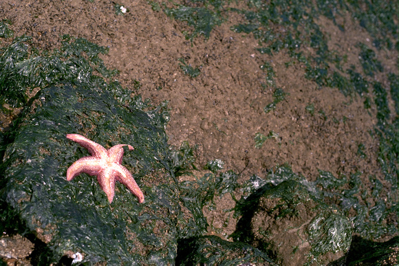 SS074-0048.jpg
